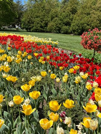 More of the flower garden walk