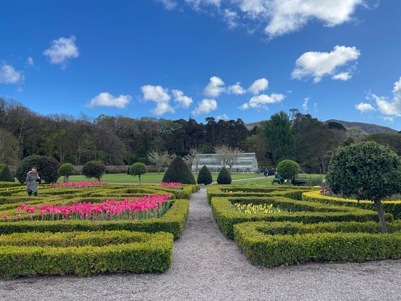 Muckrose garden