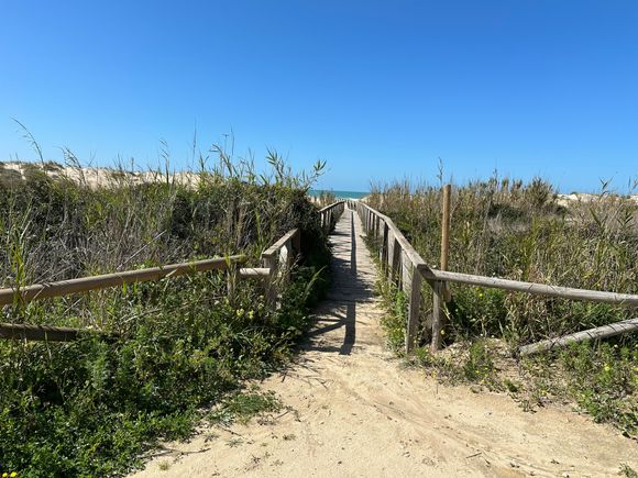 One of many slatted wood walkways to PLAYA DEL PALMAR, Vejer
