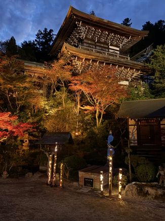 Evening illumination