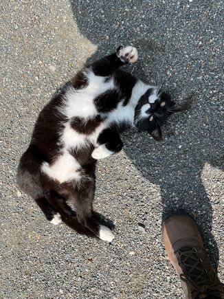 Buster, the handsome and charismatic baron of Huntly Castle.