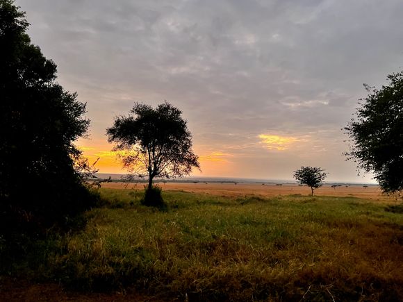 View of the Masai Mara from our tent at Bateleur Camp.