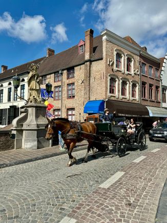 Lots of horse drawn carriages!
