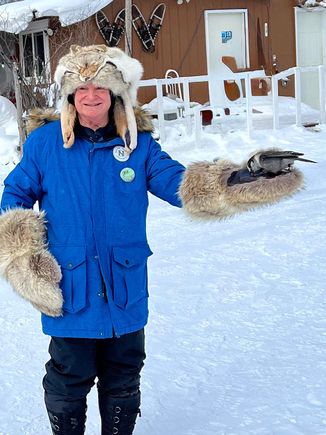 A Canada Jay in the palm of my hand, er, mitt