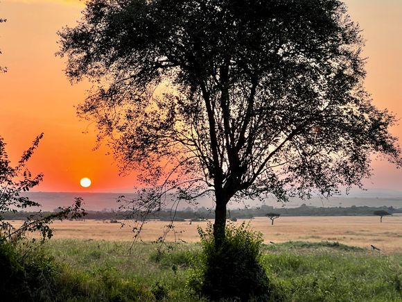 Masai Mara