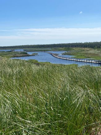 What can be prettier than this!