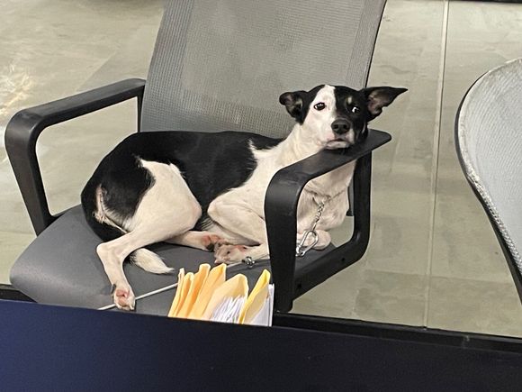 He loved the concert though so don't listen to me.