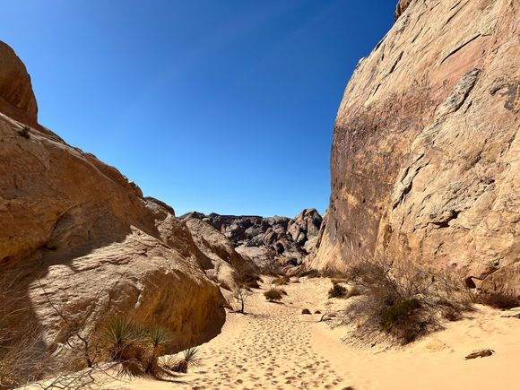 Start of White Domes Trail in Valley of Fire 