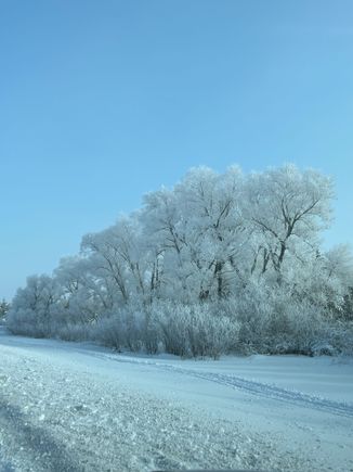 It's hard to describe -10 if you're not dressed for it. Brrr just does not do it justice.
