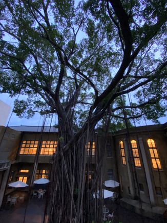 Outside terrace looking in 