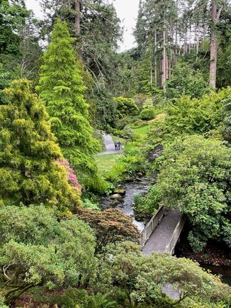 In the forest over by the Old Mill
