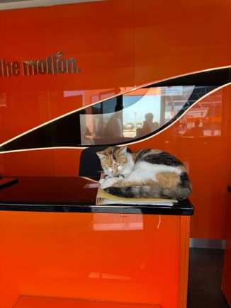 The lovely Emmanuela who'd been so kind to us at pick-up,  was on break, so we left the car keys with the general manager of the agency, who badly needed an espresso doppio.