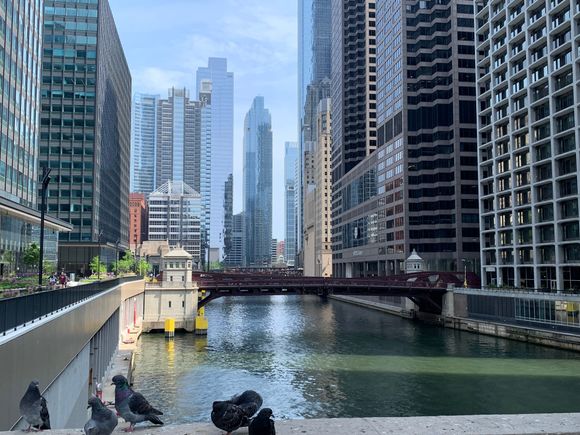 Even with a short layover, the Chicago River is a short stroll from Union Station.