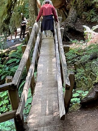 At one point threre is a one lane, walking bridge that is essentially one big split log.