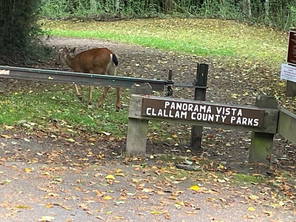 Here is a picture of a park ranger at Panorama Vista Park.  You used to be able to get to the beach from here but due to erosion it is closed.