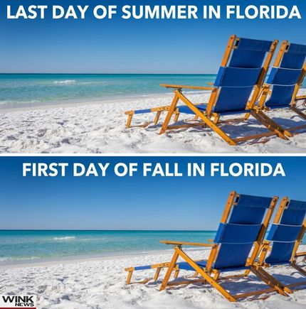 For you Florida. This is why you need the pumpkin spice candles. 