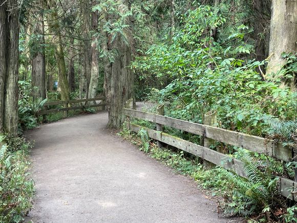 After past the kiosk you will enter the trail to the Spit.  There is a very nice paved trail as shown, there is also a Primitive Trail, marked by a little sign.  I would recommend taking the Primitive Trail.