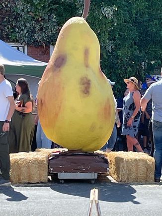 Meet the Giant Pear.  Everyone got there picture around the pear.  Kelseyville grows about 20% of the pears in California.