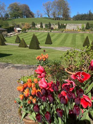 Plas Cadnant - topiary and meadows beyond