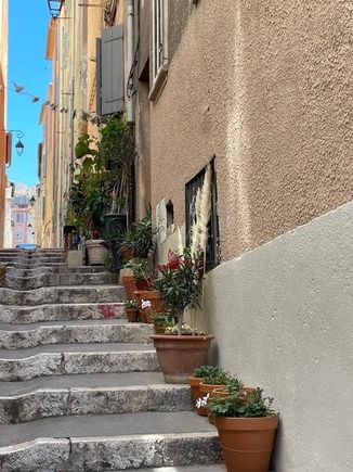 Street gardening 