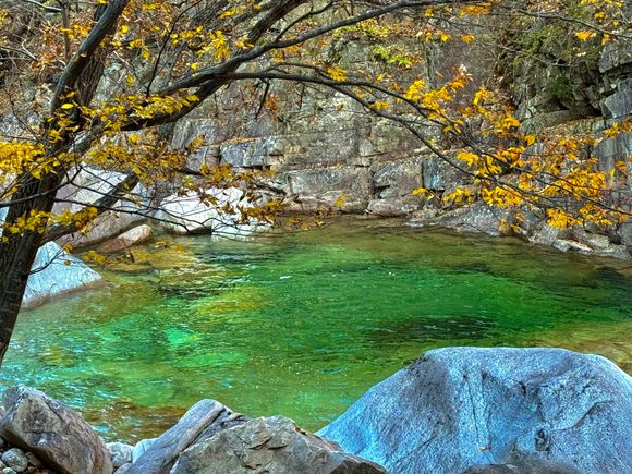 Couldn’t believe how green the water was 