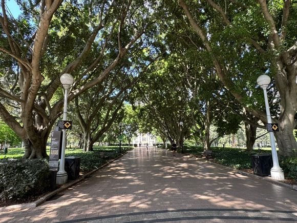 We walked through Hyde Park to get to the Australian Museum. I wish we had more time here. Looks like a lovely park. 