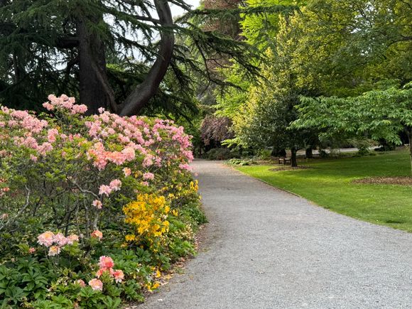 Christchurch Botanic Gardens
