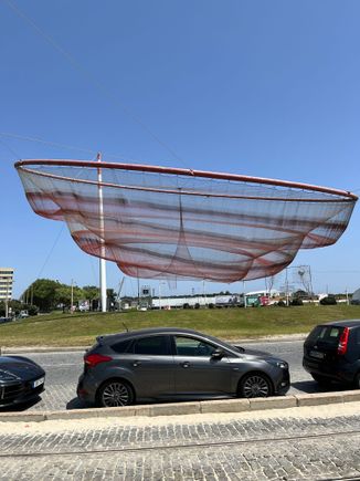 Anemone / SheChanges sculpture