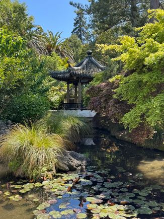 The walled Chinese-style garden