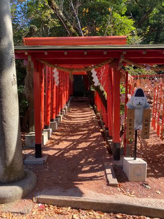 Torii gates with cardboard cutout of Kima-chan