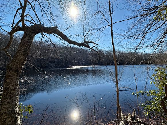 Simple but peaceful bit of nature. 