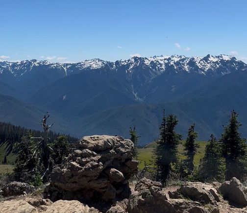 View of the Olympic mountains from hurricane hill trail