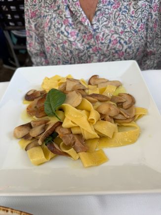 My pasta with mushrooms lunch at Il Kaimona.