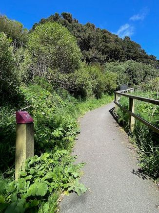 Further down the trail