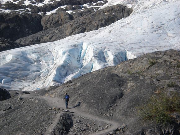 Exit glacier trail
