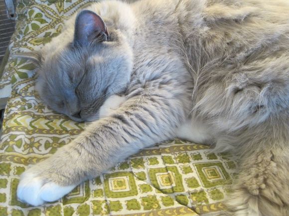 Skylar sends his love... once he wakes up that is!