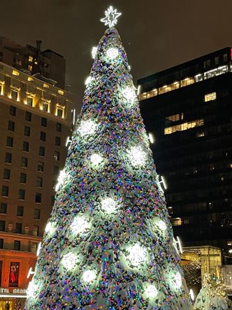 snow dusted Christmas tree