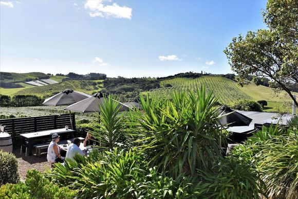Te Motu Winery