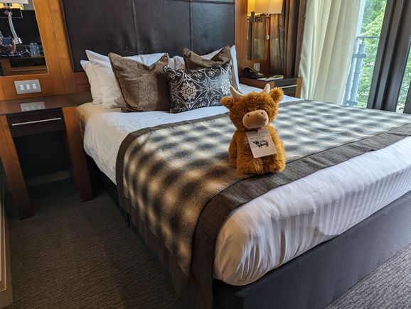 Another Clyde waiting for us