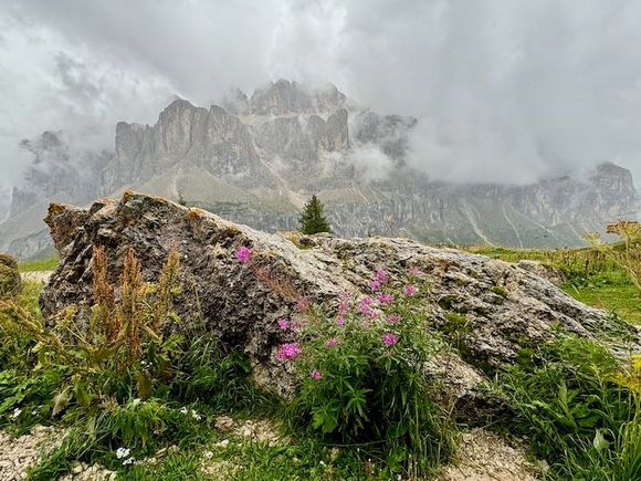 From the top station of Dantercepies, it is a 15-minute walk to Rifugio Jimmi and the Plans/Frara gondola lift station, which was on our Alta Badia lift pass and descends back into Colfosco.