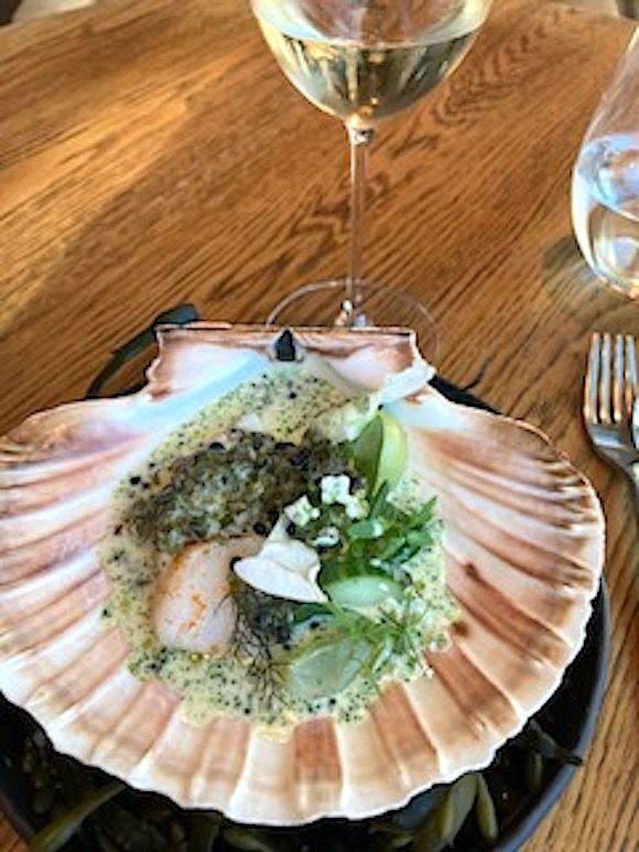 HIDE scallop starter