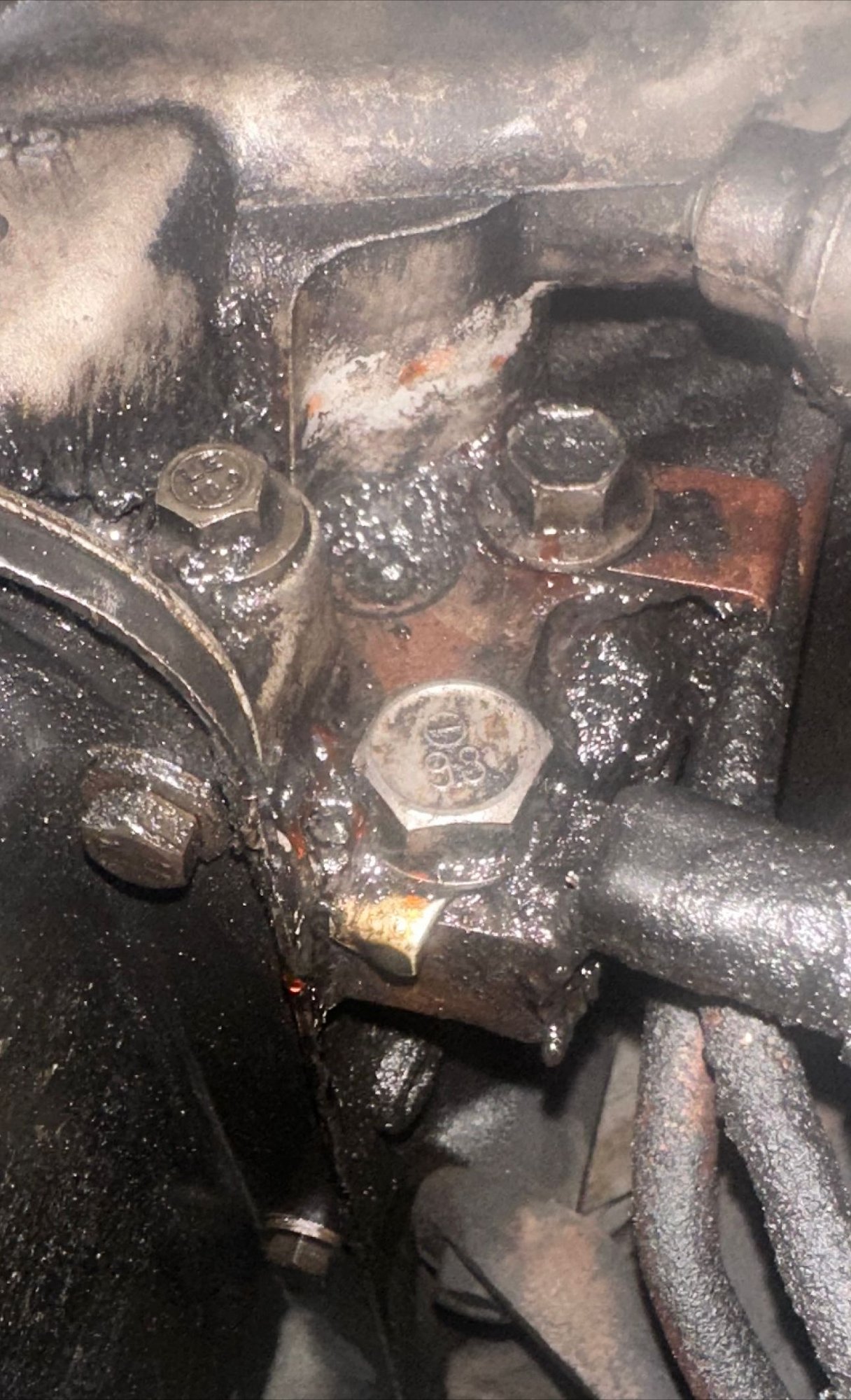 Possible timing cover leak Ford Truck Enthusiasts Forums