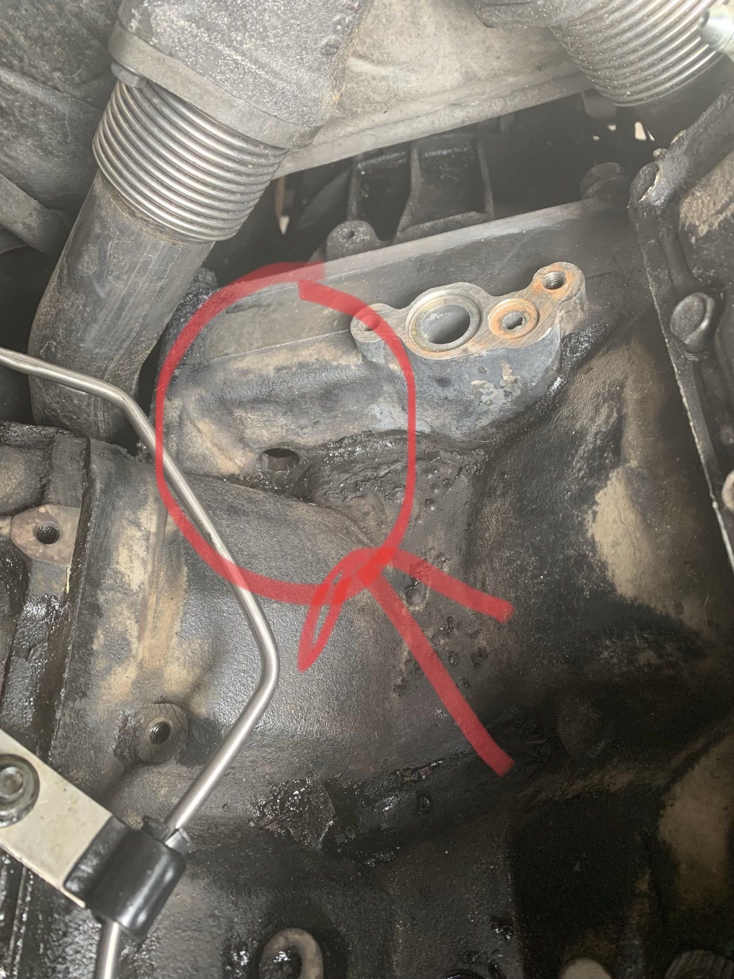 how much would new rear main seal cost installed guessing? Page 2