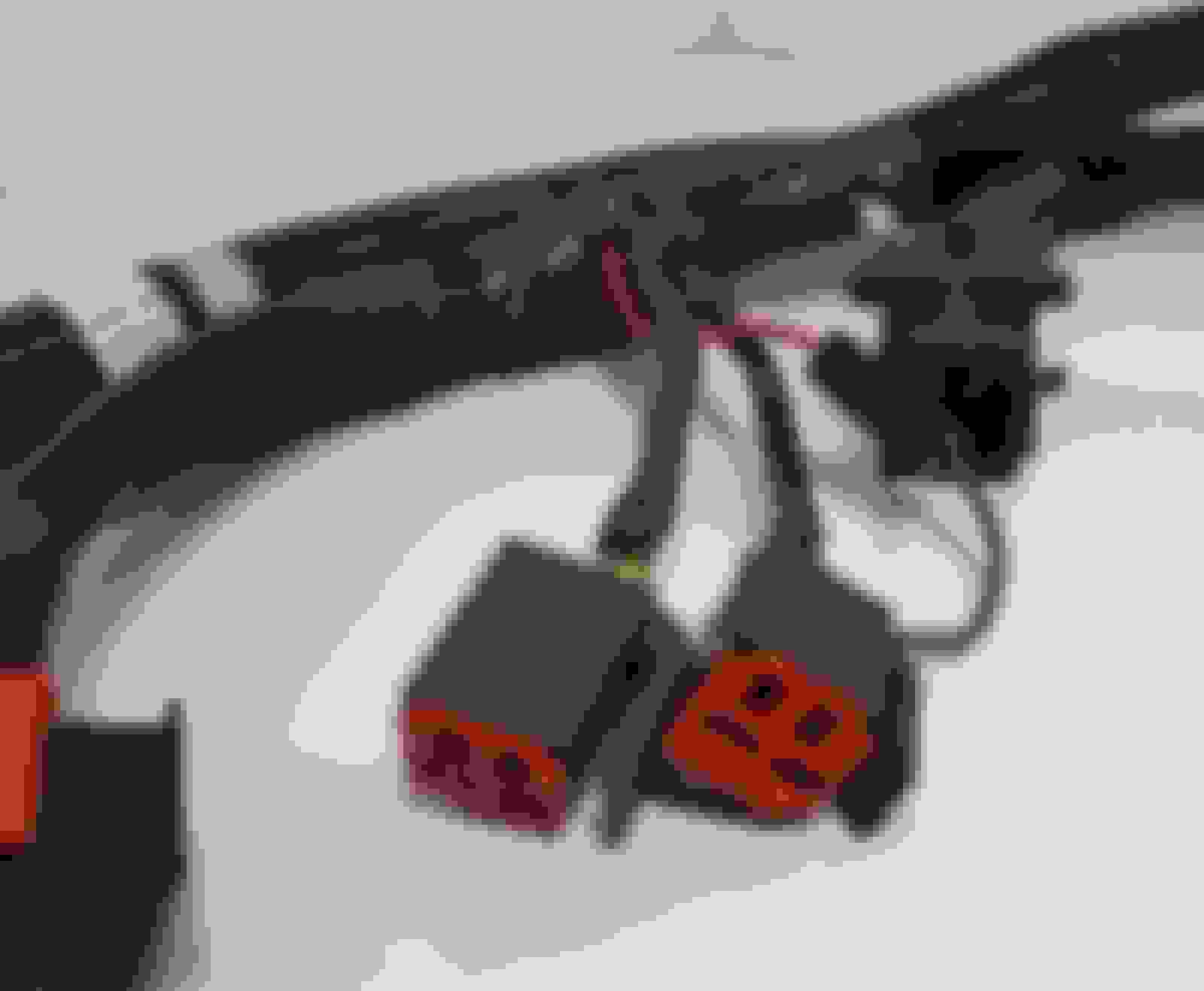 Help to identify Bronco wiring Harness - Ford Truck Enthusiasts Forums