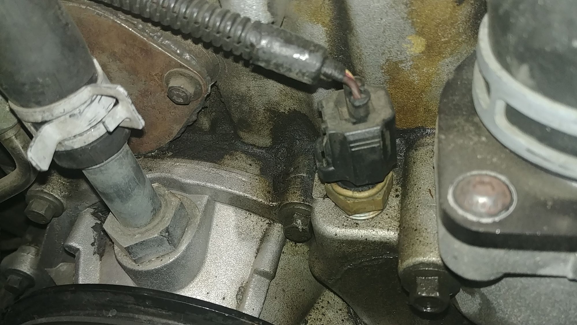 mystery oil leak, plus my warm idle shake solution Ford Truck