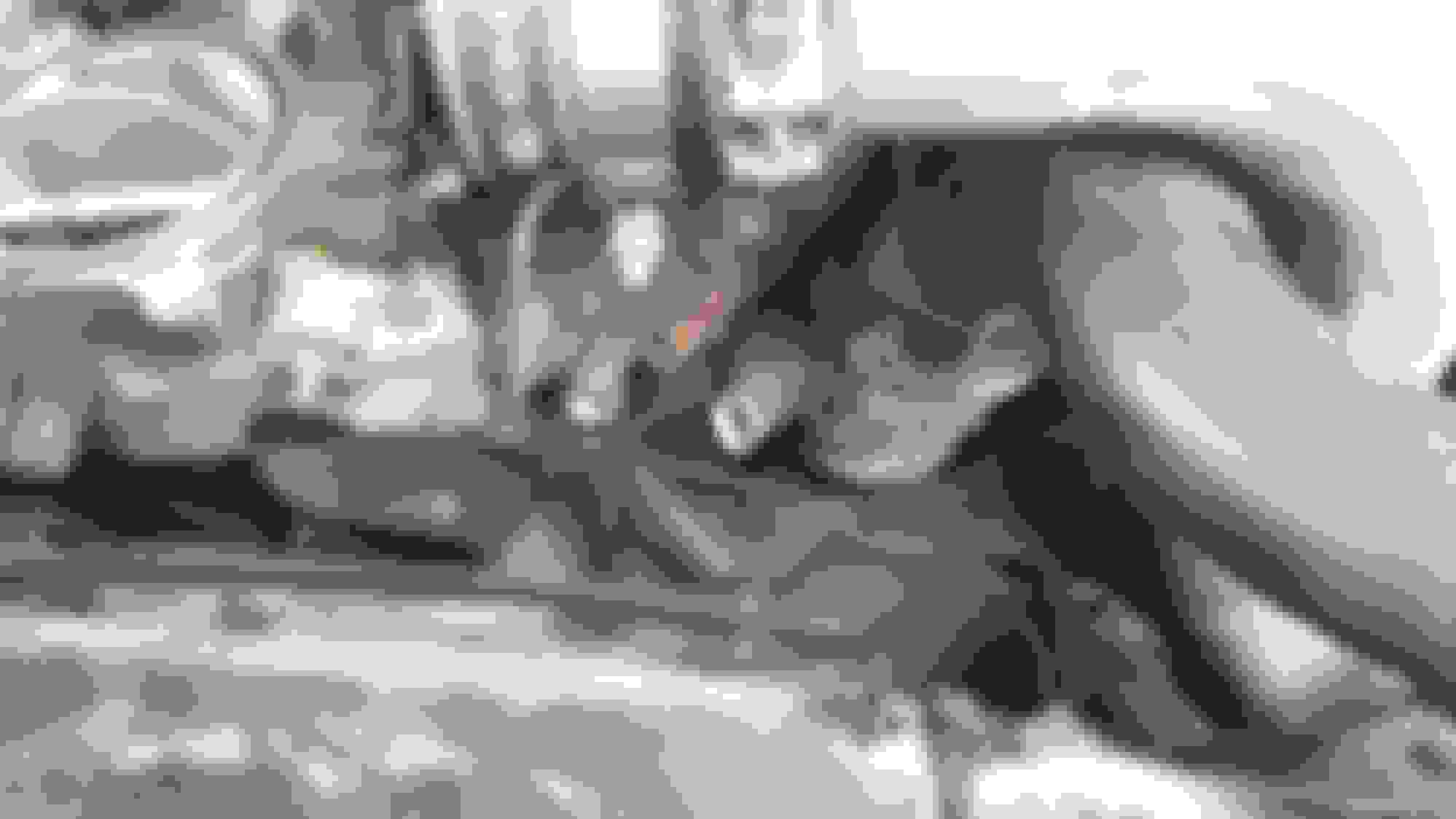 What is this pigtail? Ford Truck Enthusiasts Forums