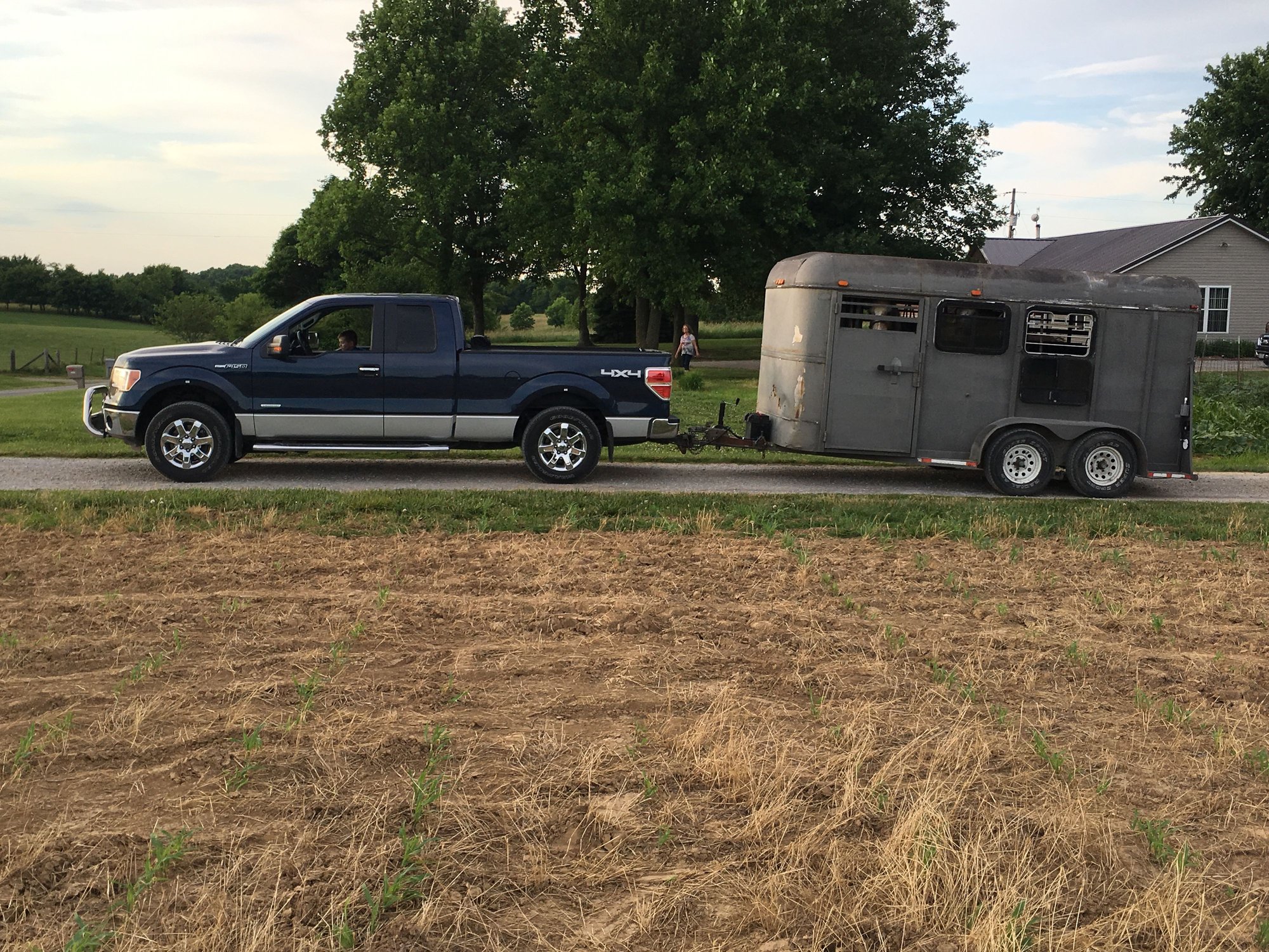 03 F250 for towing horses?? Ford Truck Enthusiasts Forums