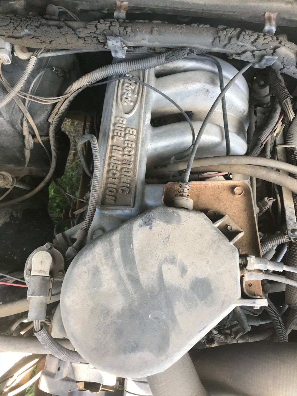 Intake manifold paint ideas Ford Truck Enthusiasts Forums