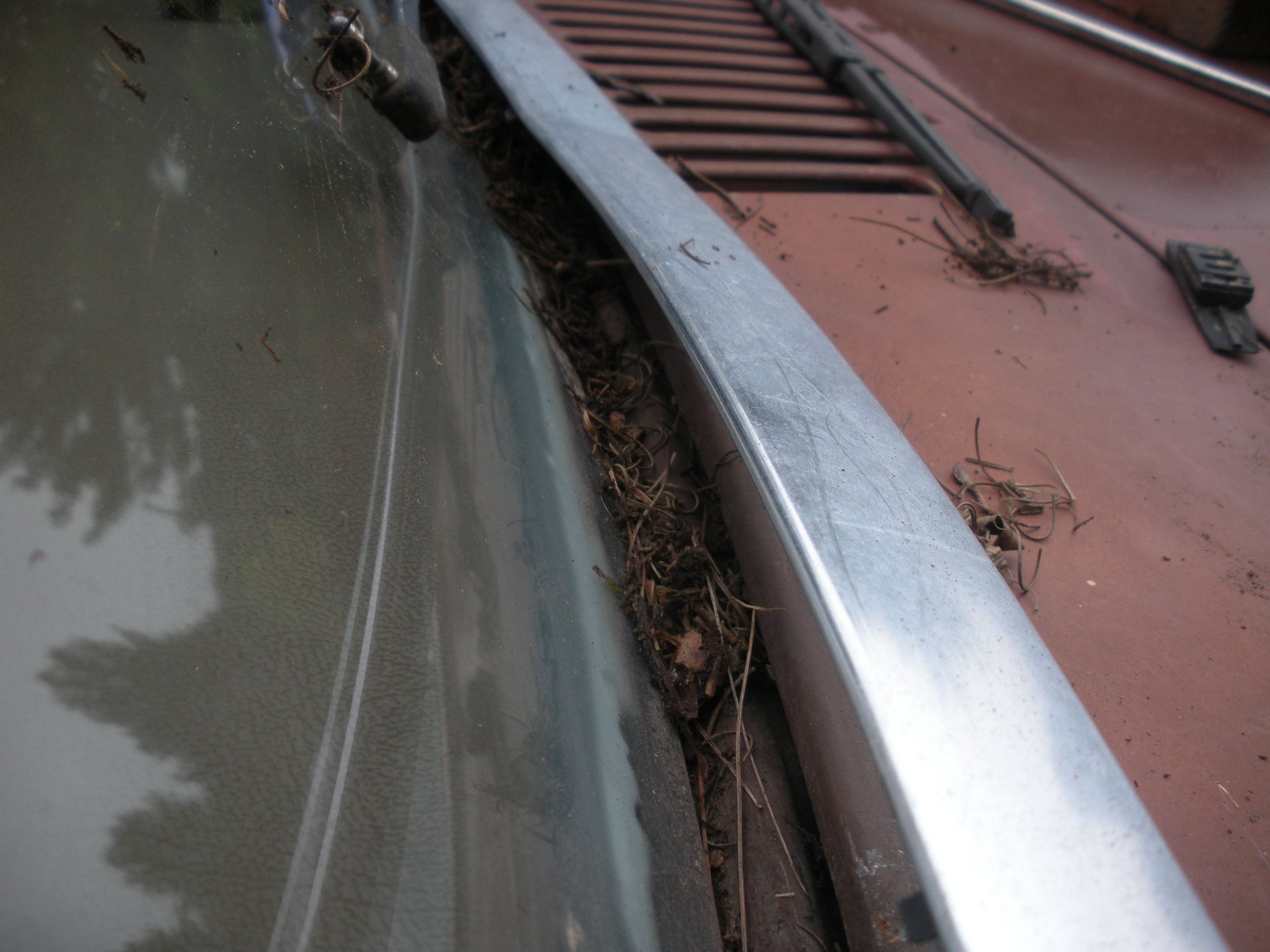 Windshield trim removal 86' F150 ? Ford Truck Enthusiasts Forums