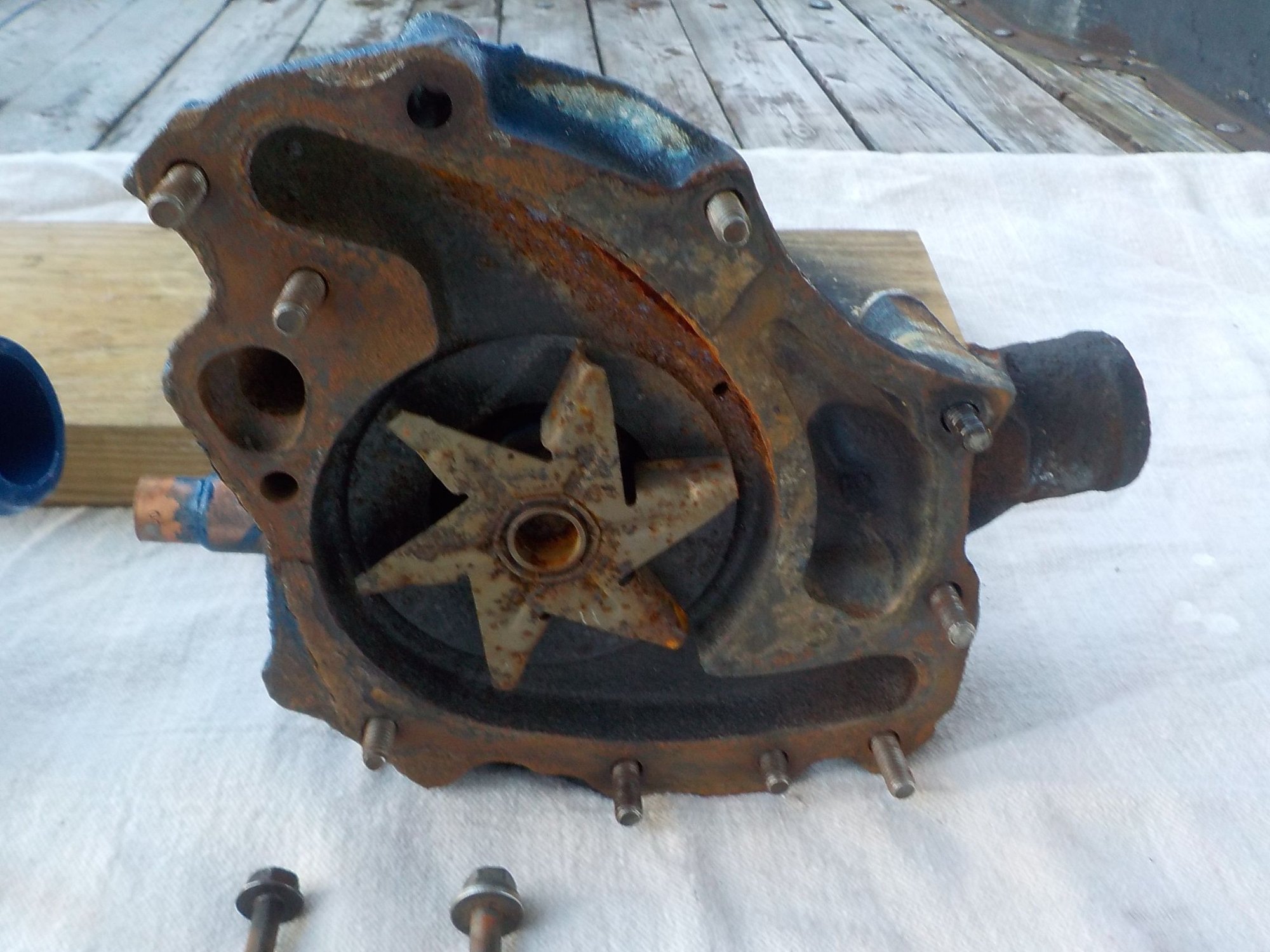 Standard Engine Water Pump-Water Pump Gates 43041